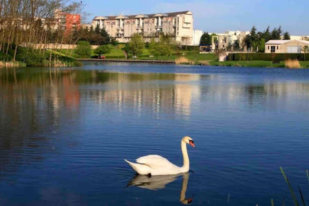 Tres Bel Appartement Entre Paris Et Disneyland Lognes Eksteriør billede
